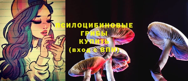 бошки Михайловск