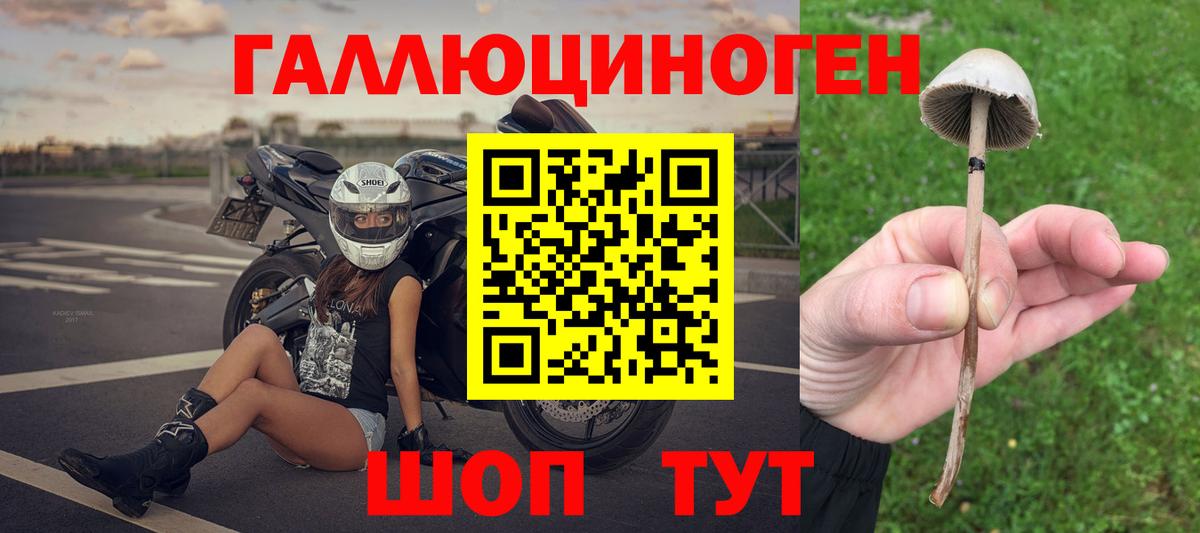 Архангельск  Псилоцибиновые грибы прущие грибы  Вход с VPN 